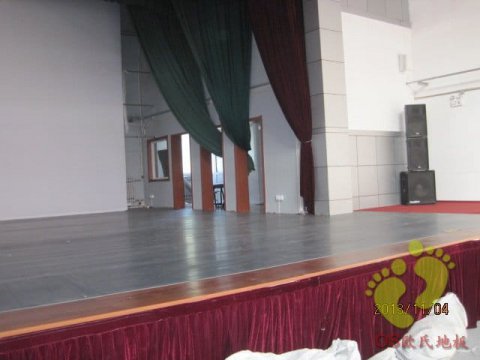 青岛上海戏剧学院艺术学校选用欧氏舞蹈地胶