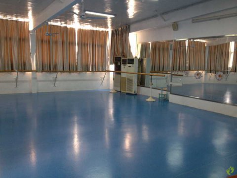 杨霓虹舞蹈教育室舞蹈地胶案例